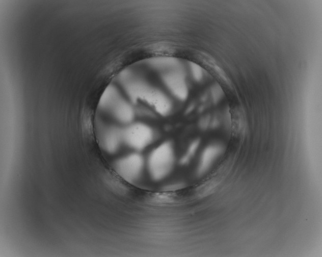 X0000111820573200908201133