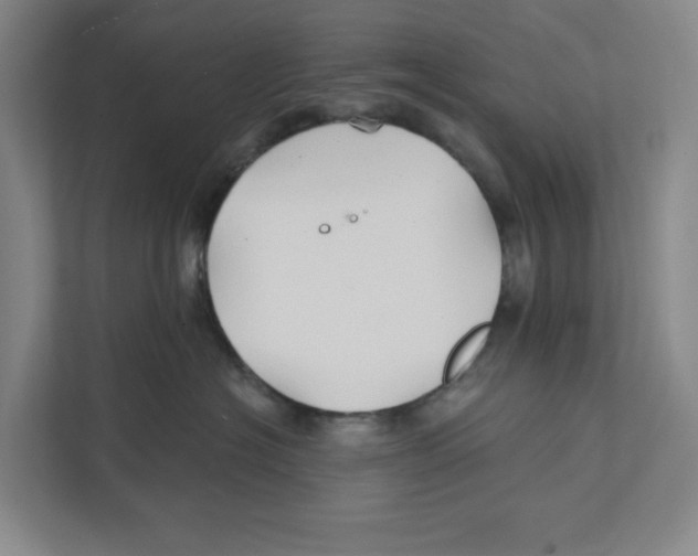 X0000111820574200908201133