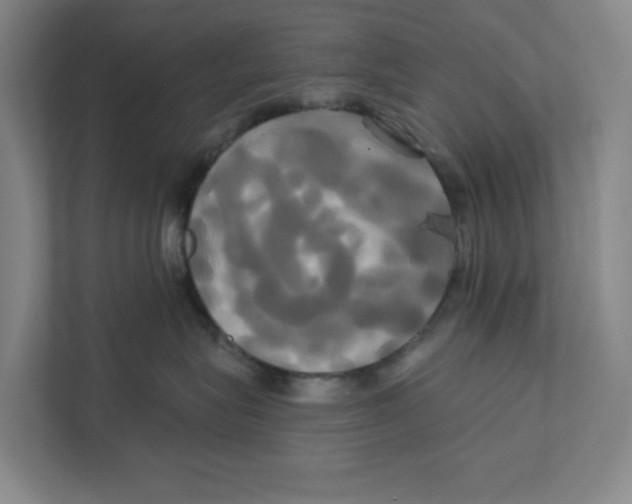 X0000111820575200908201133