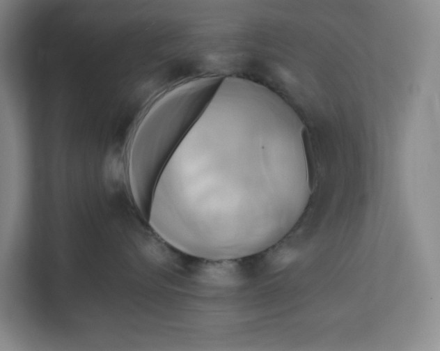X0000111820576200908201133