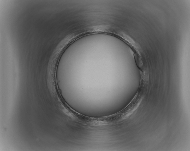 X0000111820577200908201132