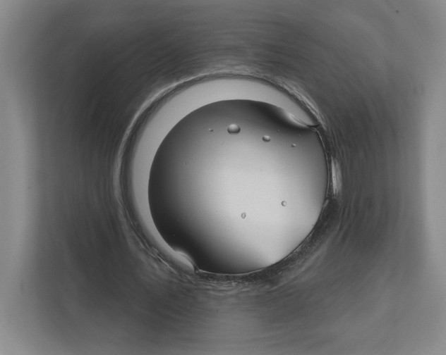 X0000111820579200908201132