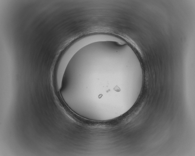 X0000111820581200908201132