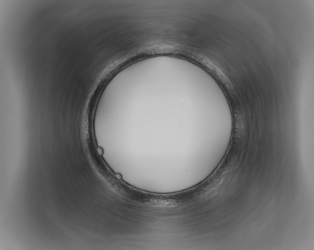 X0000111820582200908201132