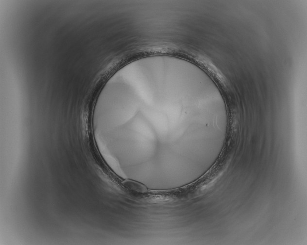 X0000111820585200908201132