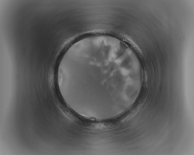 X0000111820588200908201132