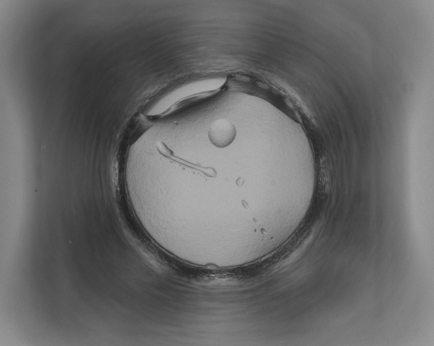 X0000111820589200908201132