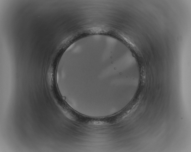 X0000111820590200908201132