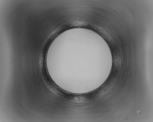 X0000111820591200908201132