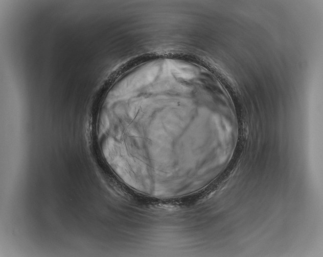 X0000111820592200908201132