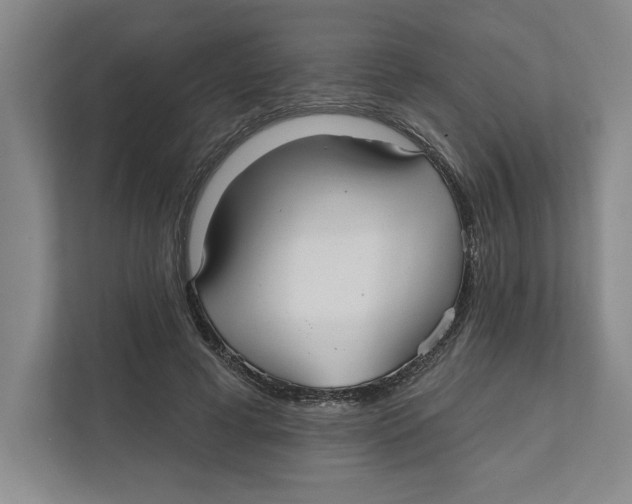 X0000111820593200908201132