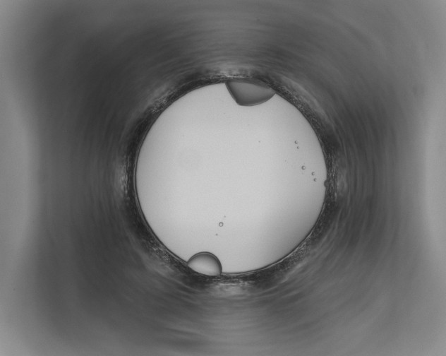 X0000111820595200908201132