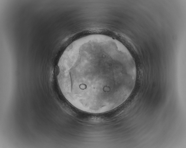 X0000111820596200908201132