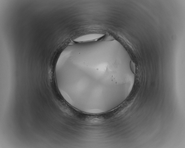X0000111820597200908201132