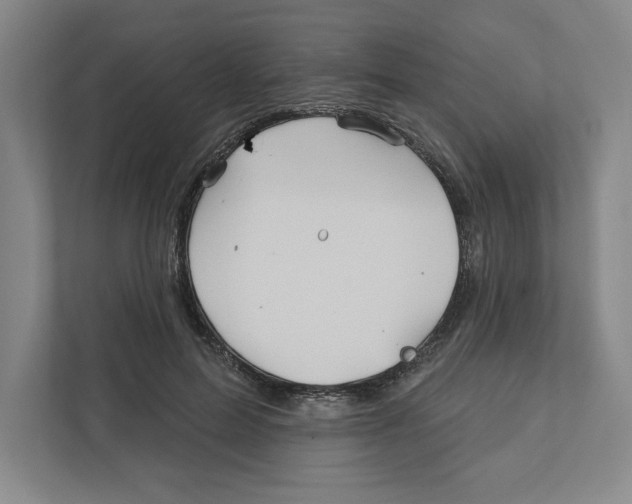 X0000111820599200908201132