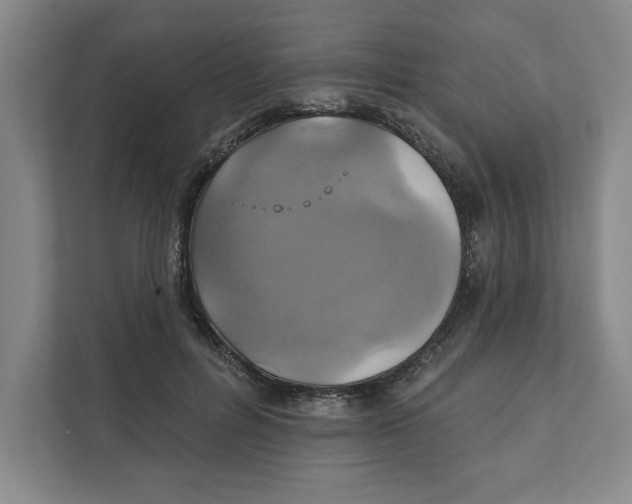X0000111820600200908201132