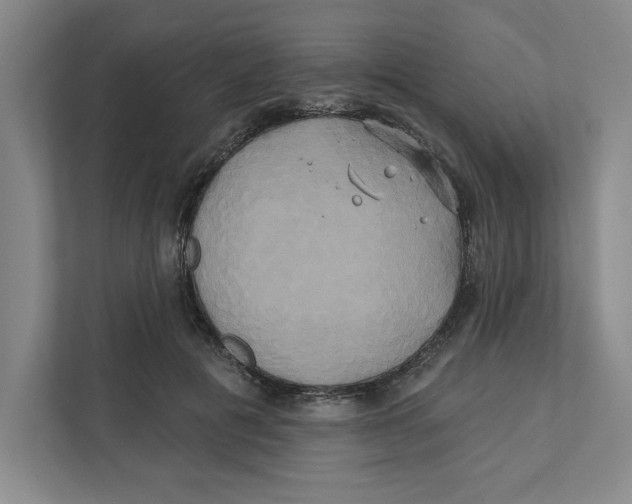 X0000111820601200908201132