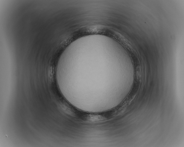 X0000111820605200908201132