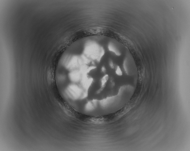 X0000111820606200908201132