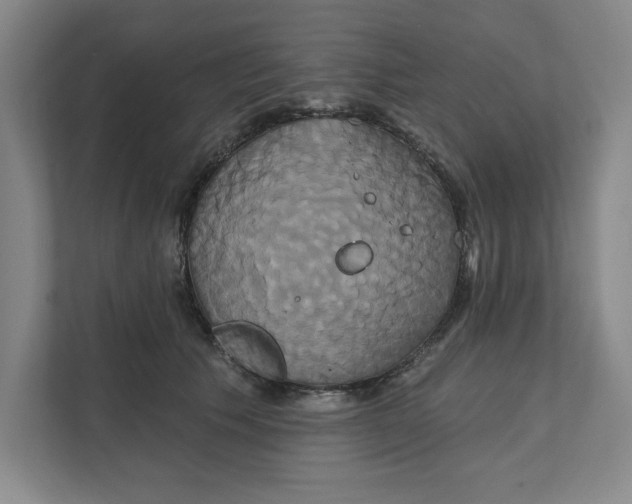 X0000111820609200908201132