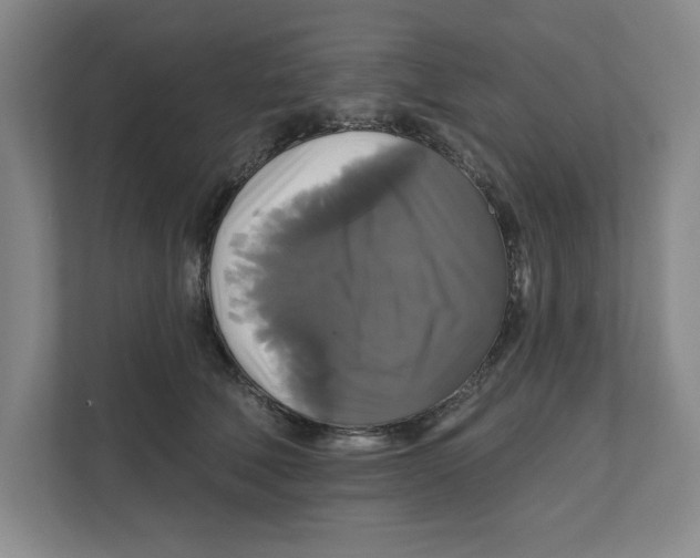 X0000111820610200908201132