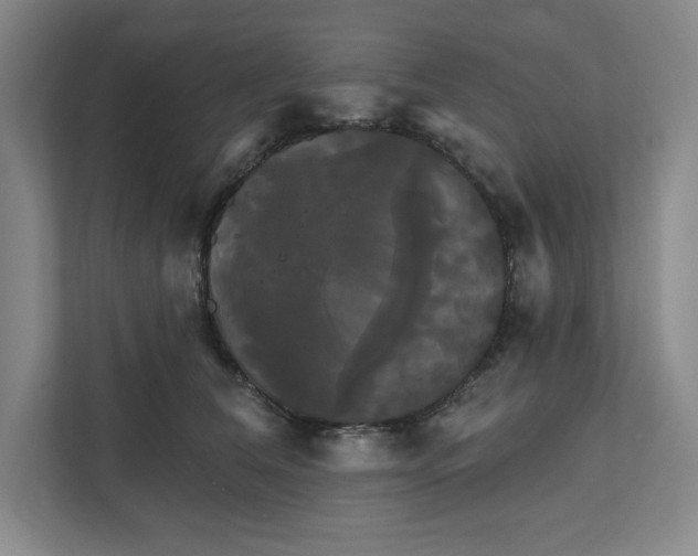 X0000111820612200908201132