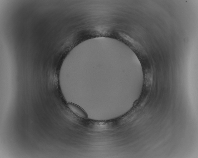 X0000111820613200908201132