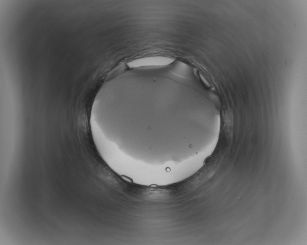X0000111820617200908201132