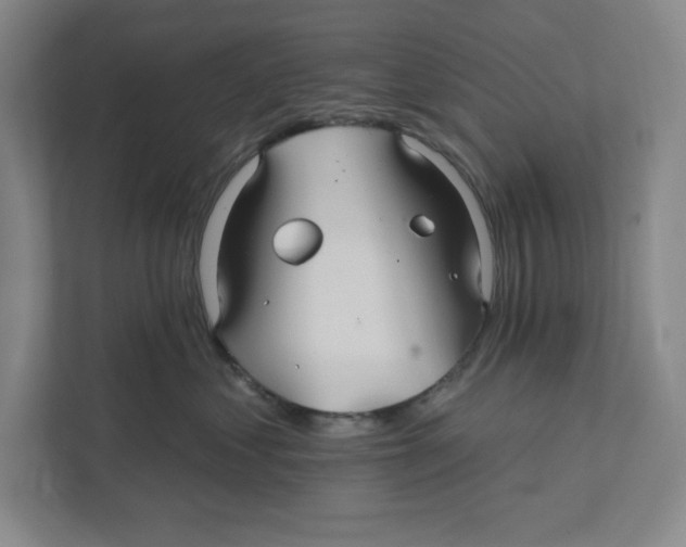 X0000111820621200908201132