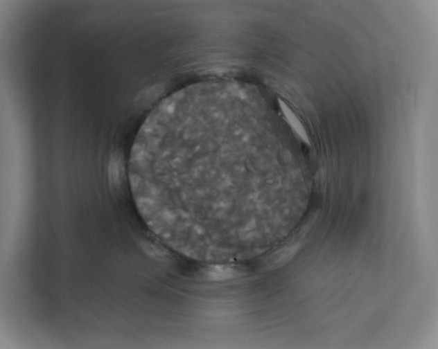 X0000111820623200908201132