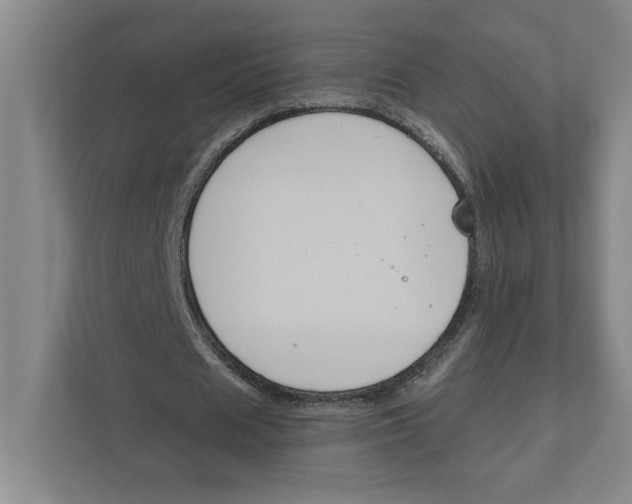 X0000111820625200908201131
