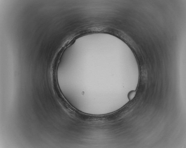 X0000111820626200908201131
