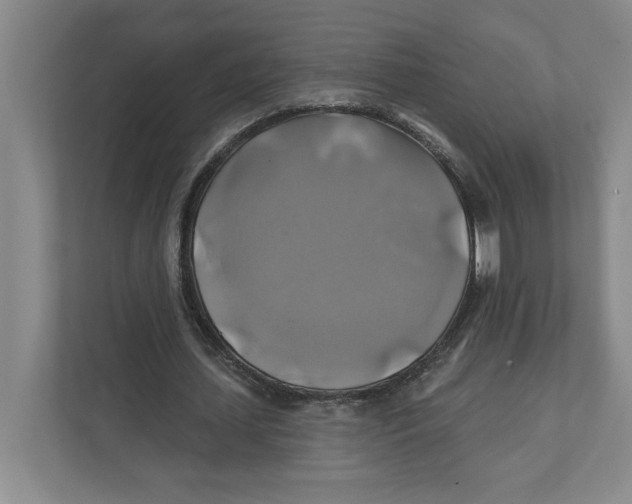 X0000111820627200908201131
