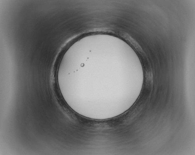 X0000111820628200908201131
