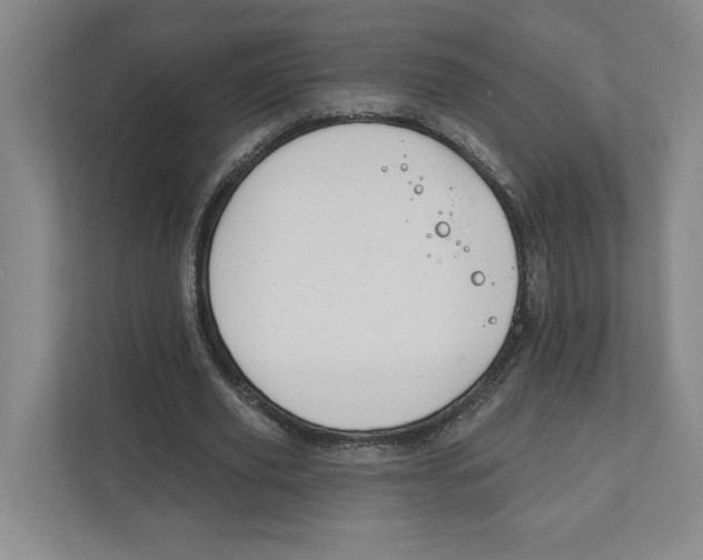 X0000111820629200908201131