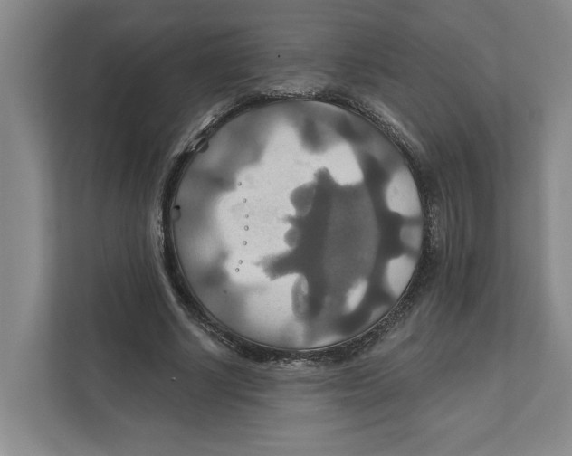 X0000111820634200908201131