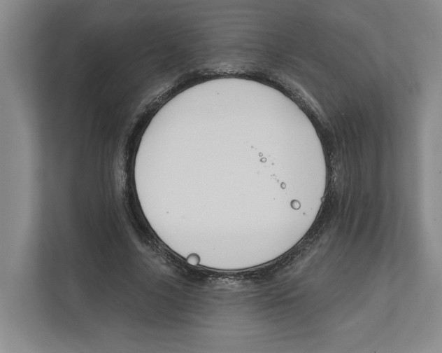 X0000111820635200908201131