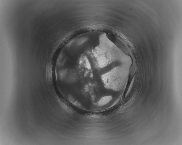 X0000111820637200908201131
