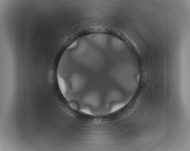 X0000111820641200908201131