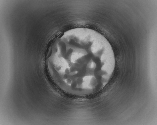 X0000111820642200908201131