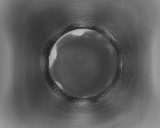 X0000111820643200908201131