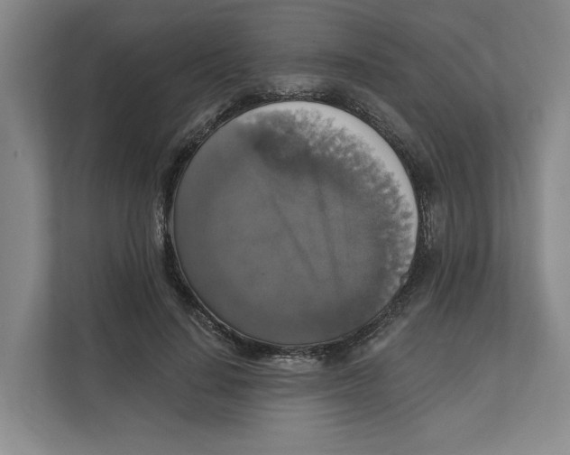 X0000111820644200908201131