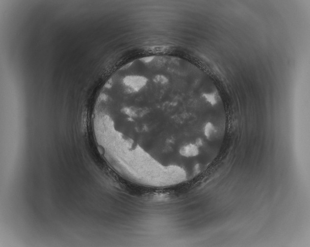 X0000111820647200908201131