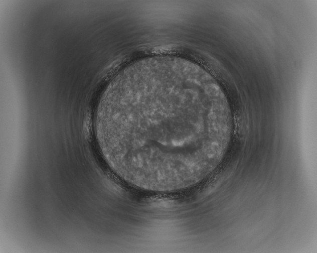 X0000111820648200908201131