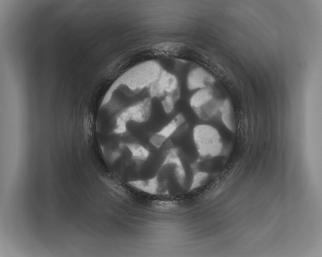X0000111820649200908201131