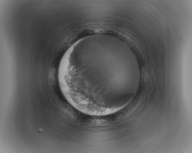 X0000111820650200908201131