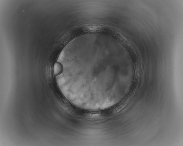 X0000111820651200908201131