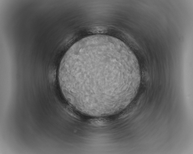 X0000111820652200908201131