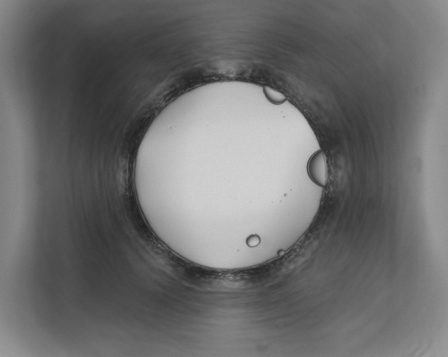 X0000111820656200908201132