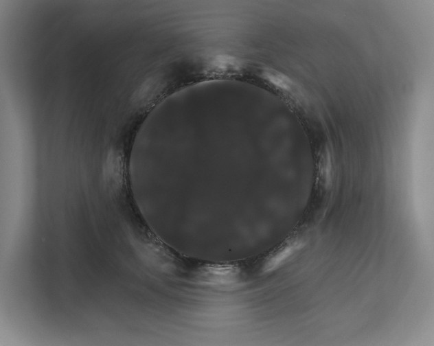 X0000111820659200908201132